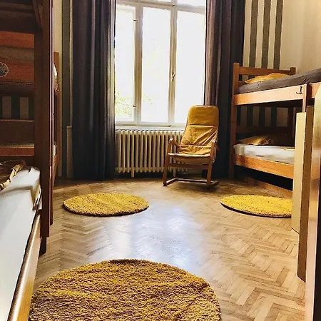 Sova * Novi Sad